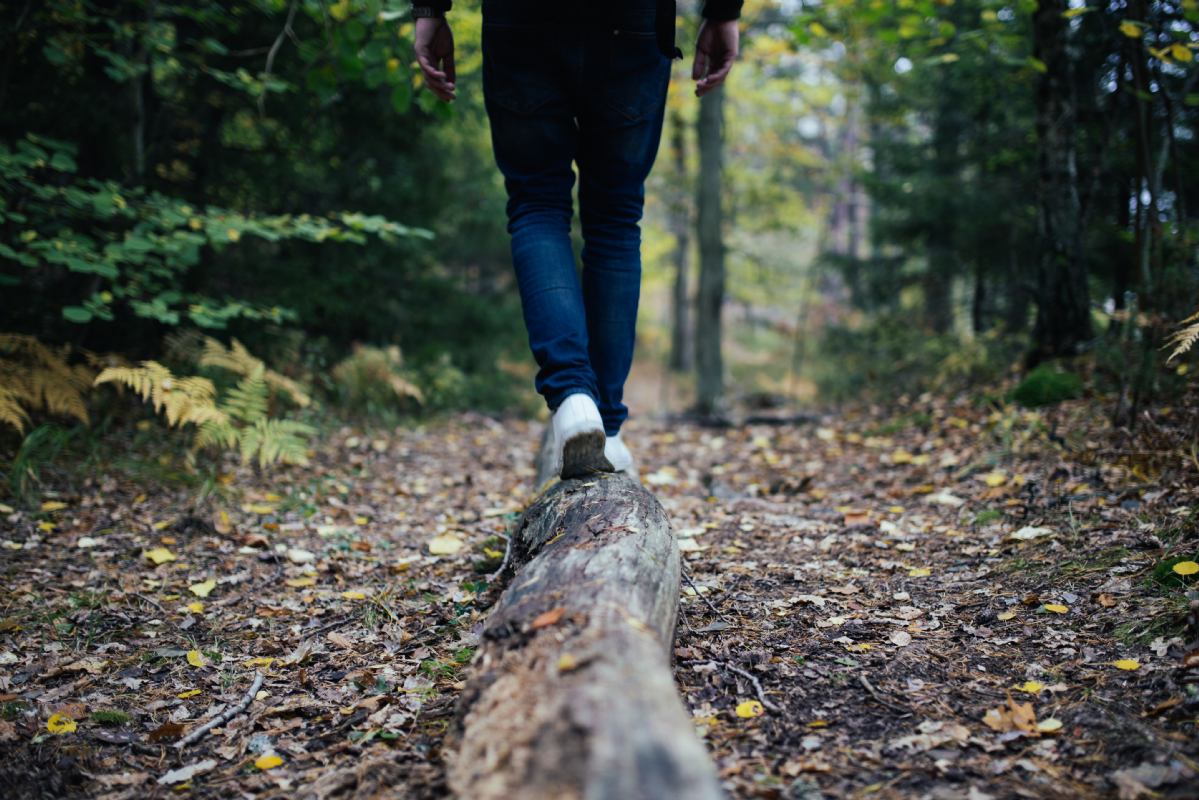 Wanderwege und Promenaden